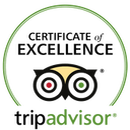 Trip Advisor certificate of excellence
