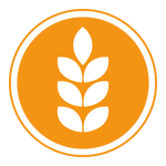 Gluten