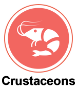Crustaceans